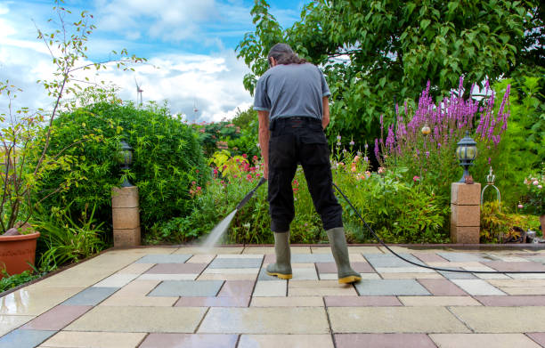 Best Winterizing Services  in Wyoming, PA